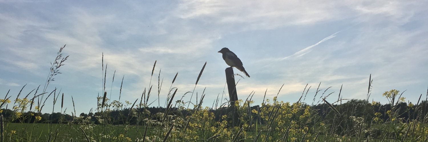 ellkay's profile banner image