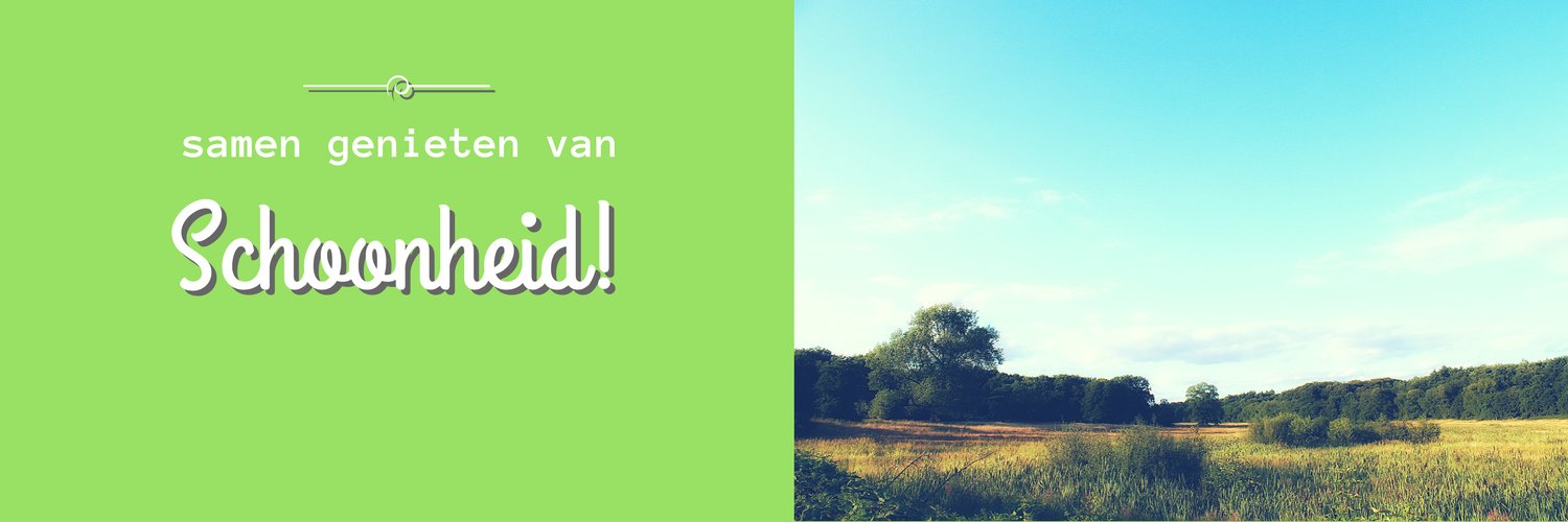 lageveluwe's profile banner image