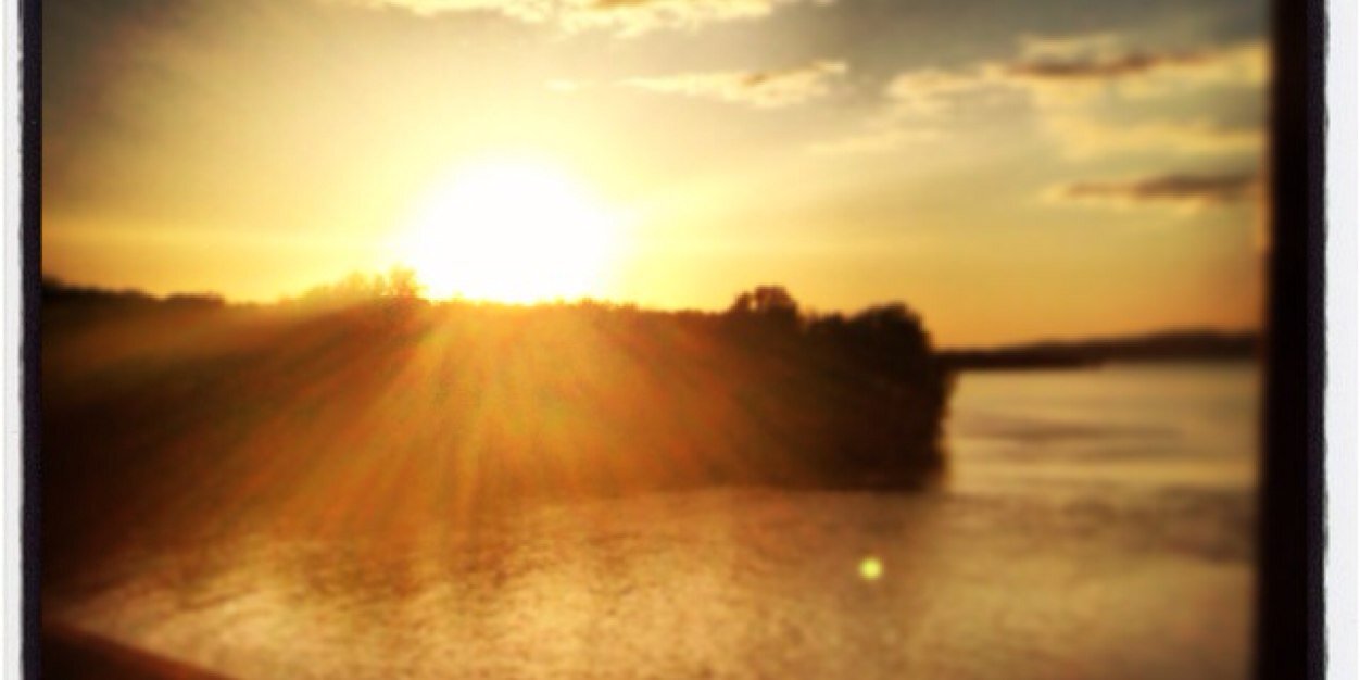 MrAnt1994's profile banner image