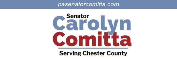 SenatorComitta Profile Banner