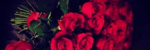 MARI_RYABTSEVA's profile banner image
