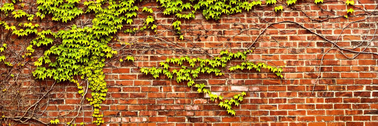 Higher Ed Marketing banner