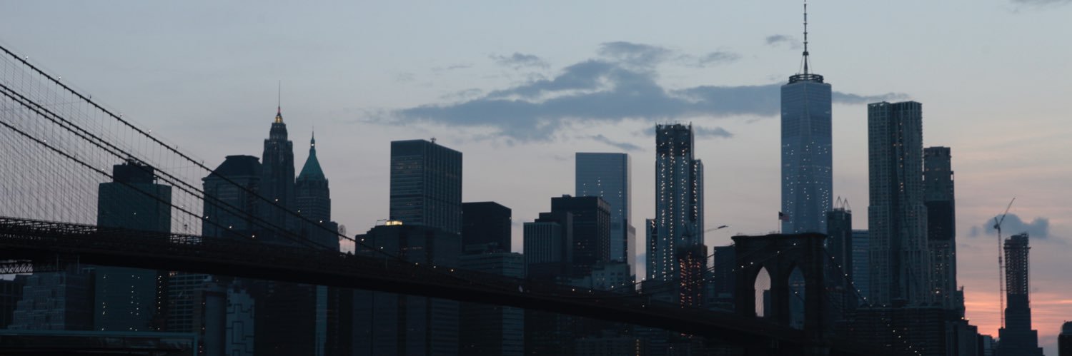 diegoborrelli's profile banner image