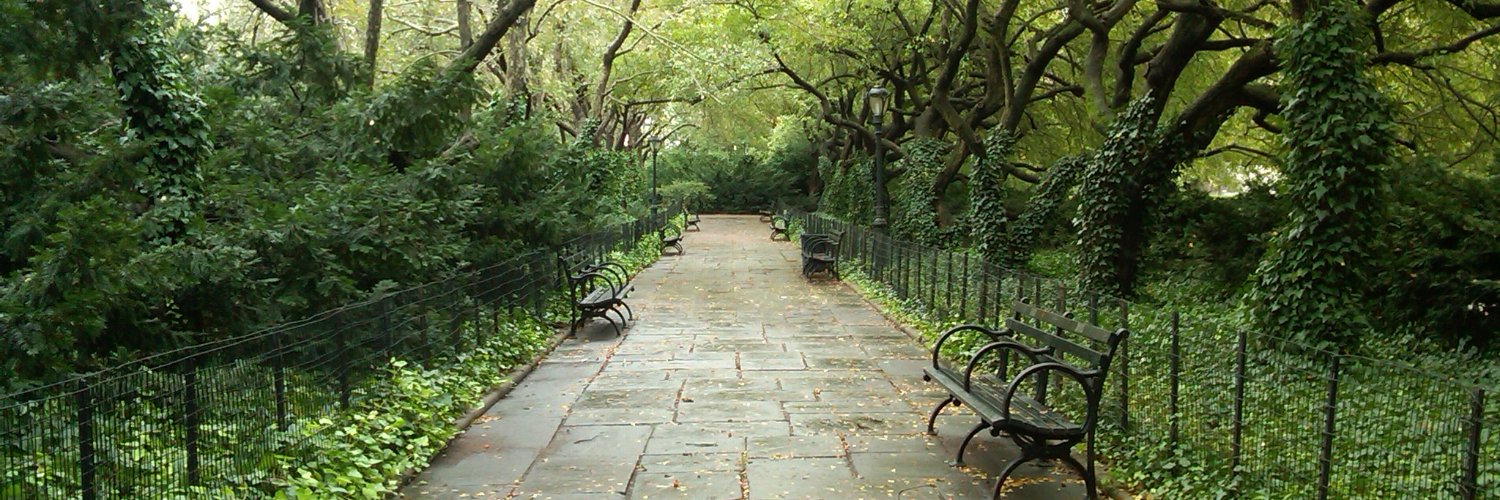 Cecilia Santana banner