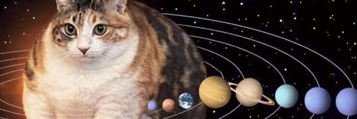 fredicarsi's profile banner image