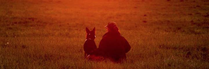 shepherdskyline's profile banner image