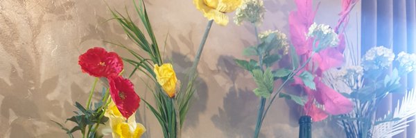 ginchuxa Profile Banner