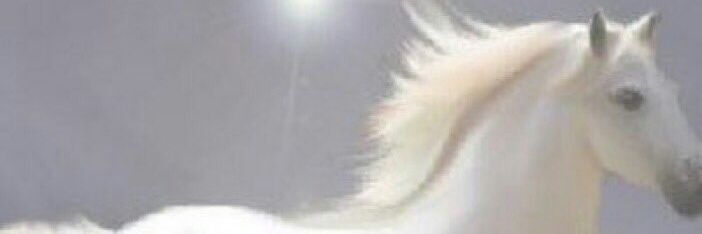 تعب قلبي banner