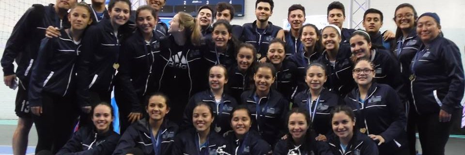 AsovoleiGuate's profile banner image