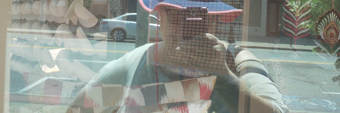 Sandra Harrison banner