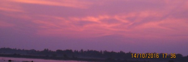 paulami_koley Profile Banner