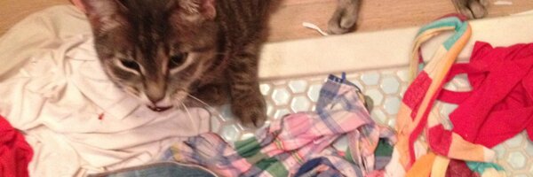 spawncakes Profile Banner