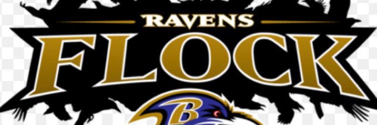 GIRRavens's profile banner image