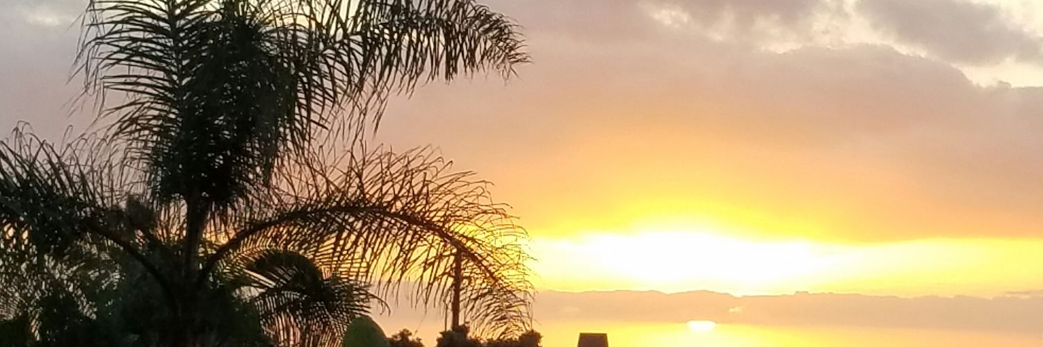 lizdelvec's profile banner image