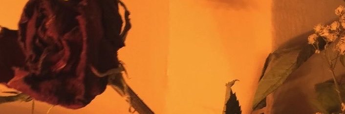 sdmrc17's profile banner image