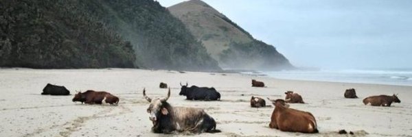 EmyGraece Profile Banner