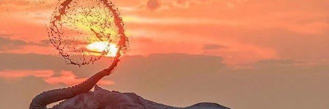 GoraHajari's profile banner image