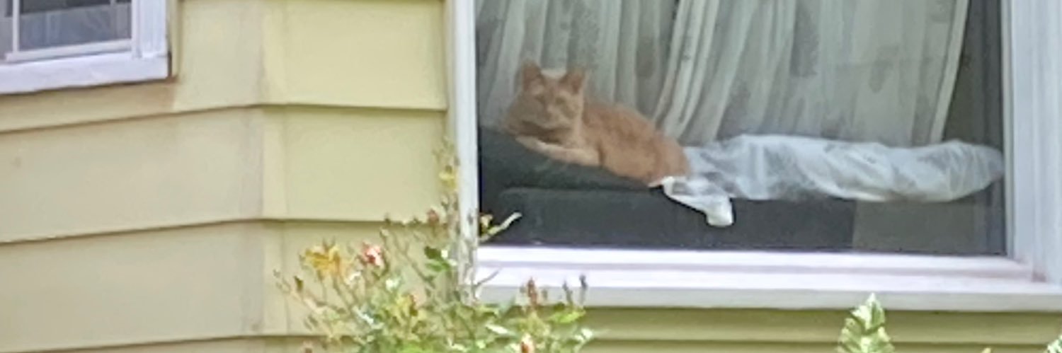 Steven Strauss banner