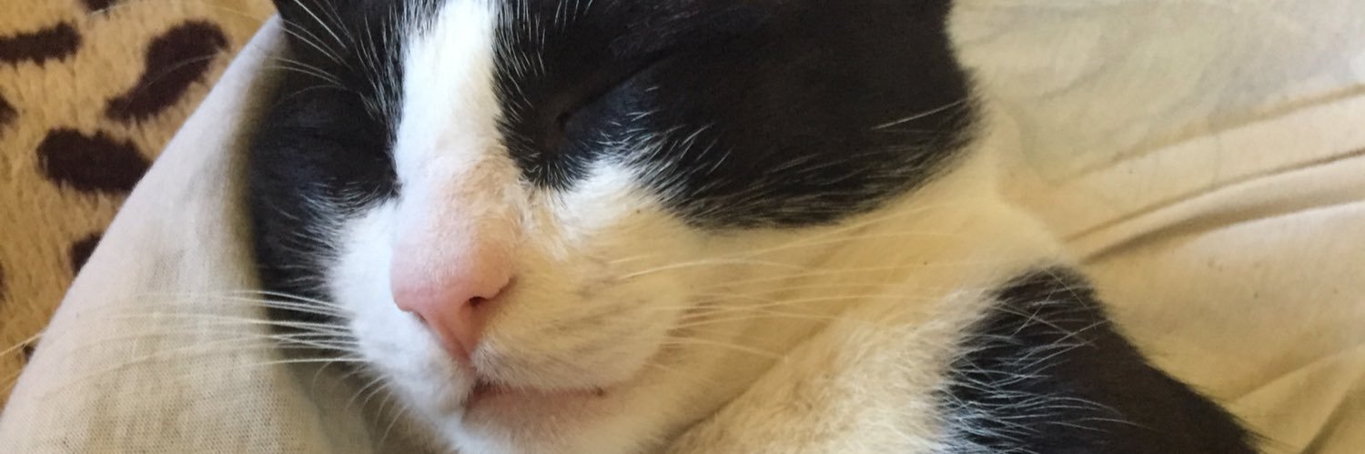 isasilvasn's profile banner image