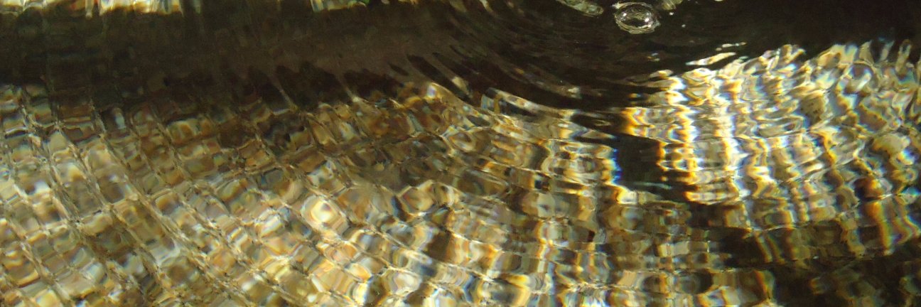 Groucholiz's profile banner image