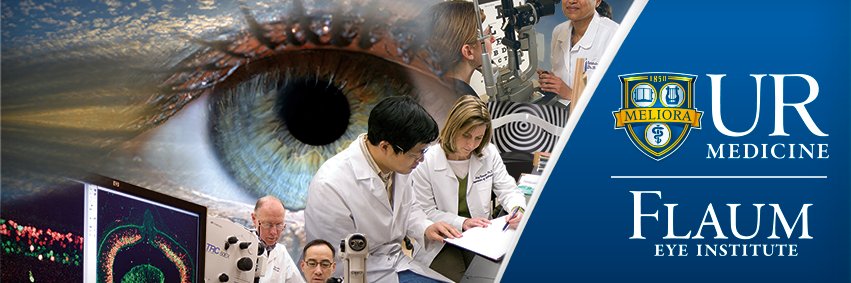 Flaum Eye Institute's banner