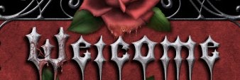 Anarie_Wit banner