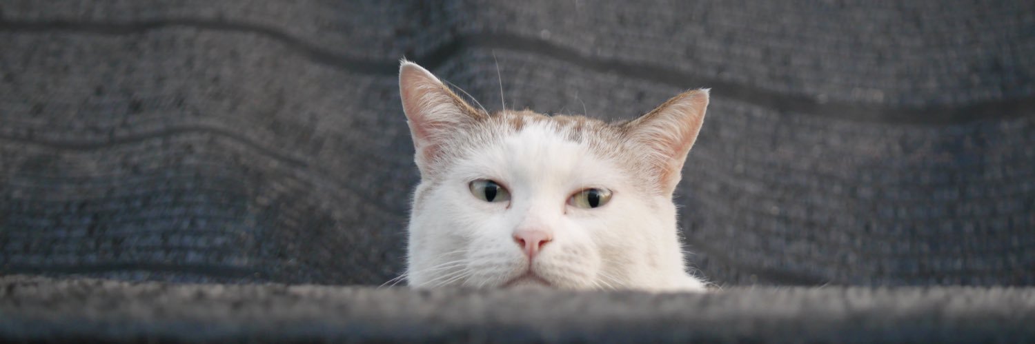 pickbas's profile banner image