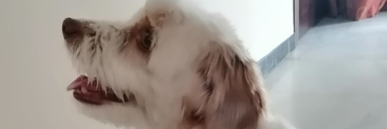 studiomardel's profile banner image
