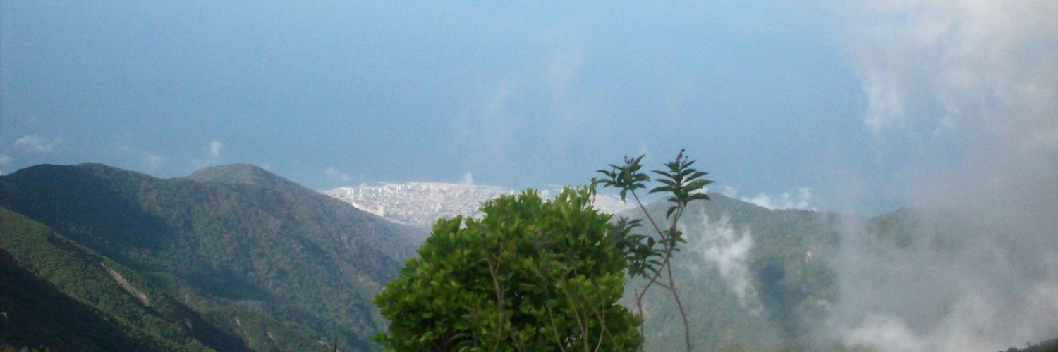 solimate's profile banner image