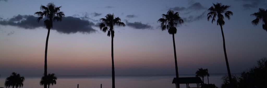 mdringo53's profile banner image