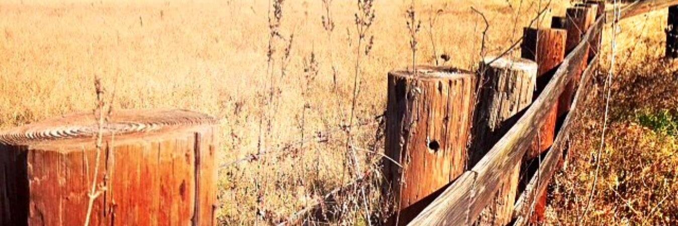 WoodenSpoonLLC's profile banner image