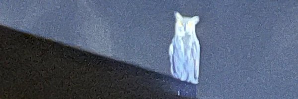 Jayyym11 Profile Banner