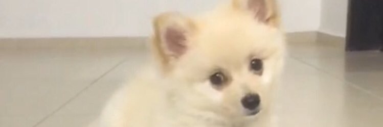 Lulamm's profile banner image