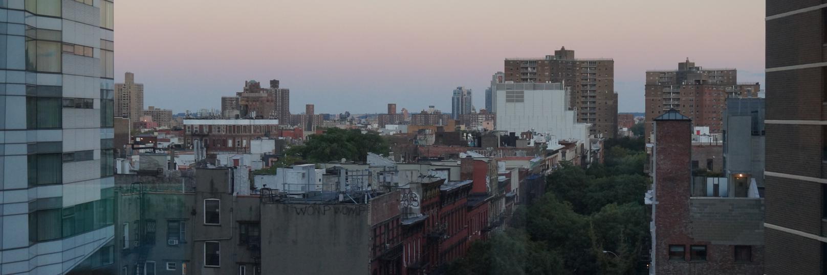 Elizabeth Fazzare banner