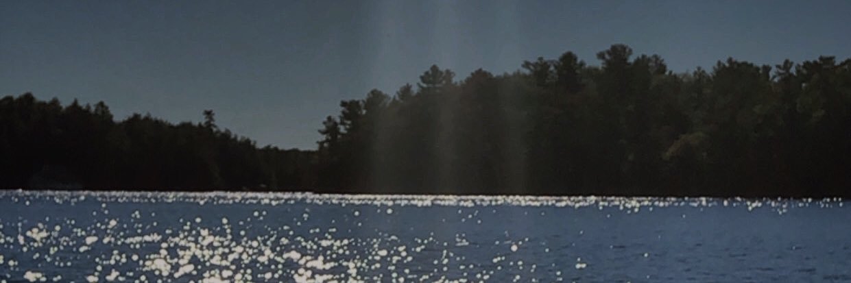 Miss_AReilly's profile banner image