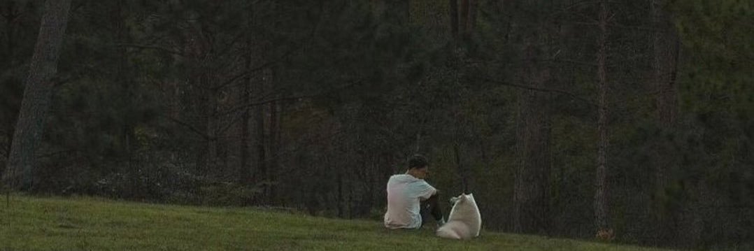 learn2fly | Imparare a volare banner