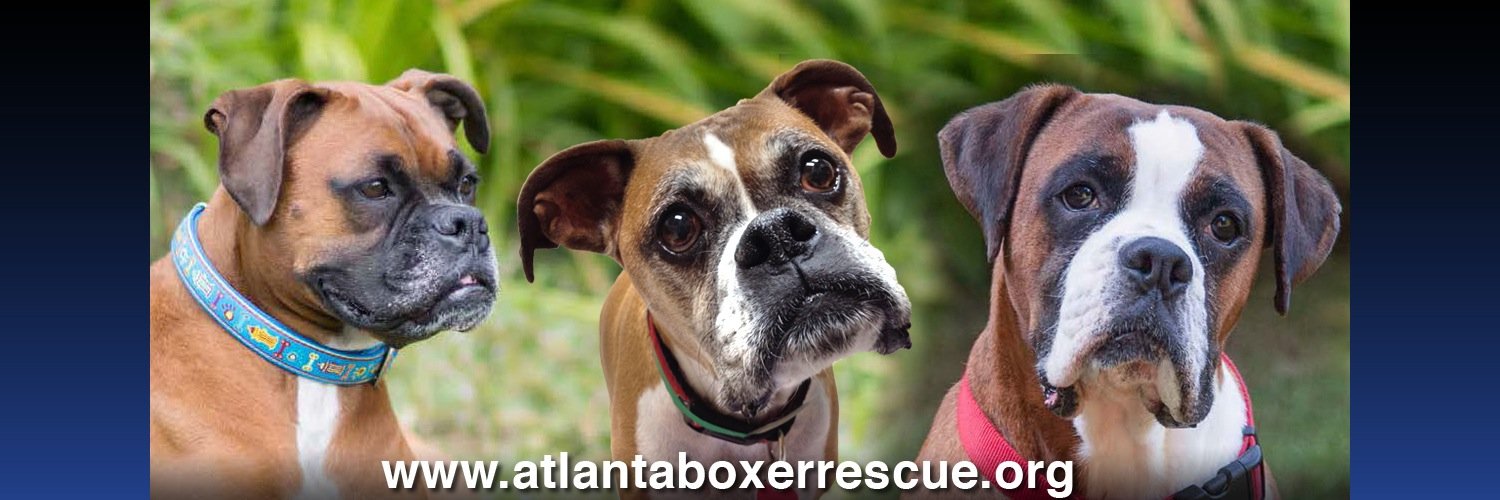 AtlBoxerRescue's profile banner image