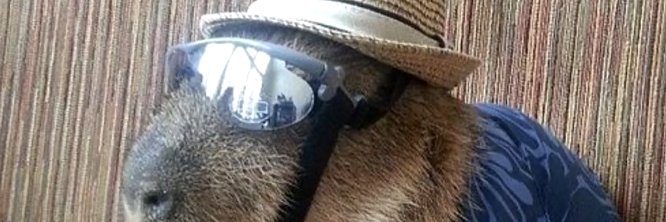 CaptYesterday21's profile banner image