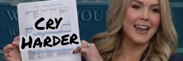 Ann Inquirer 🇺🇸 ⭐️ 🇺🇸's banner