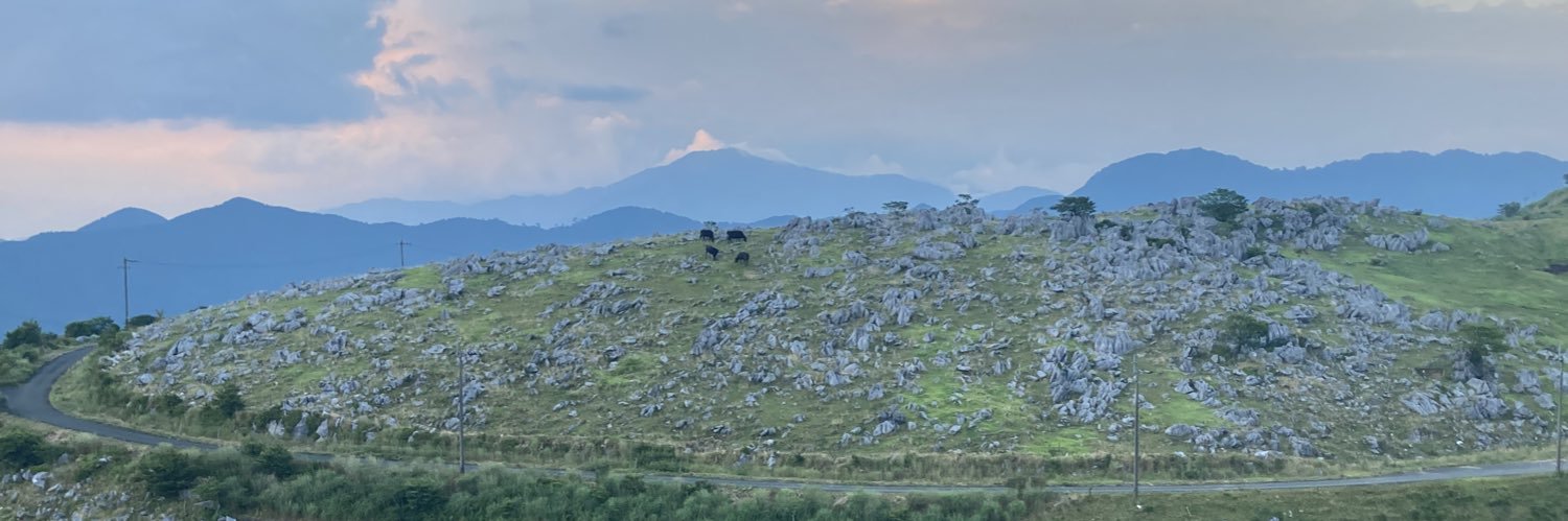 ApplepieSy's profile banner image