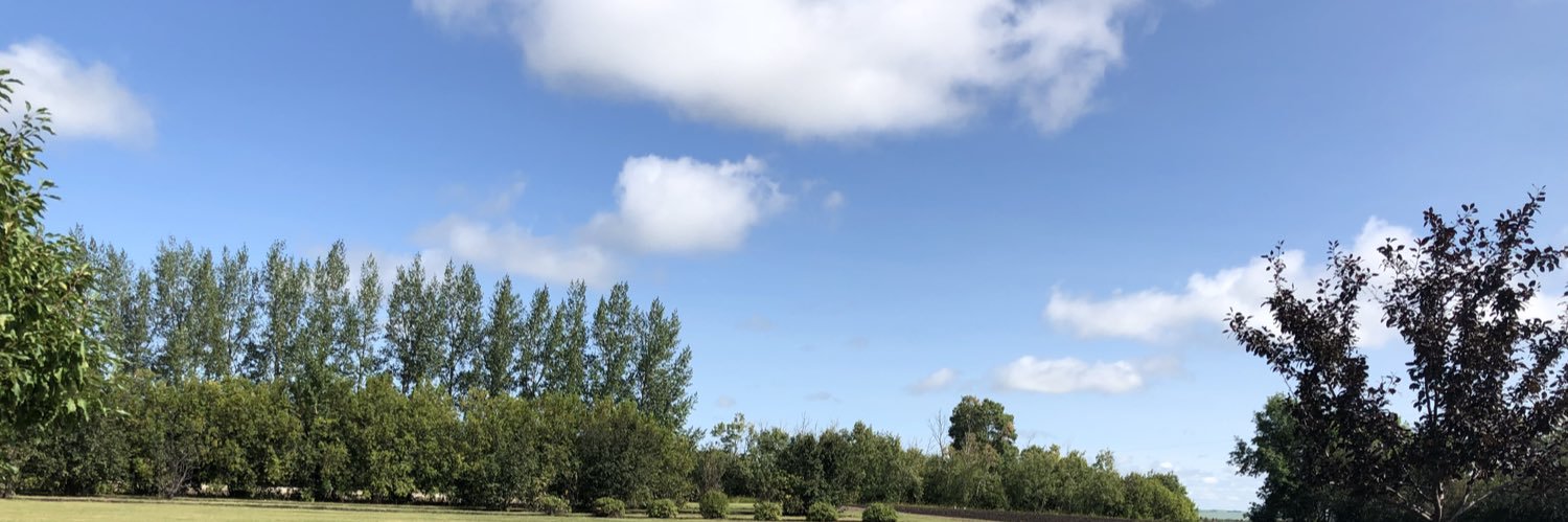 tzinkowski's profile banner image