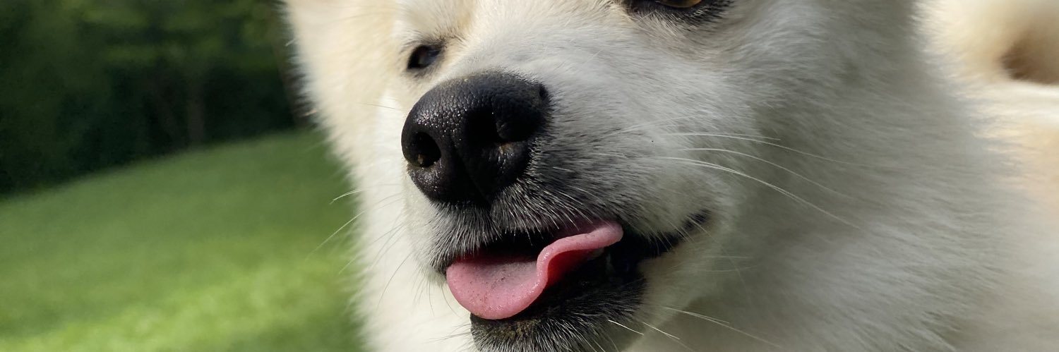 chaoconadios's profile banner image