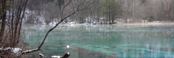 igiwong Profile Banner