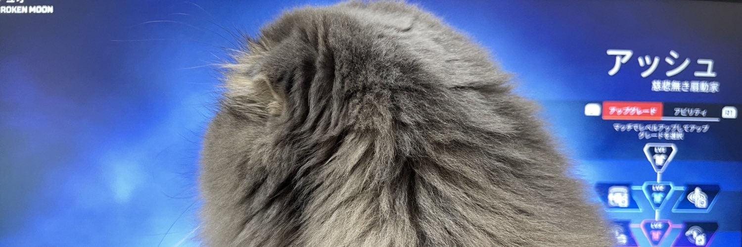 OKUTAN_Apex_'s profile banner image