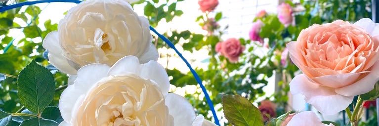 teftefff14's profile banner image