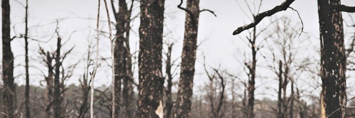 Michaylajeann's profile banner image