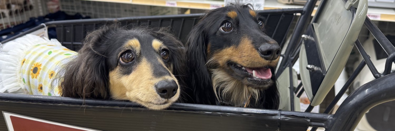 ぺこぽん(ワンコ画像で癒しをお届けします) banner