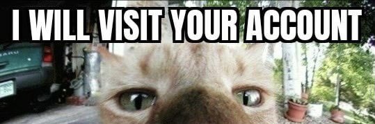SmugFacedTwit's profile banner image