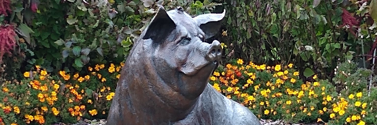 powerinquestion's profile banner image