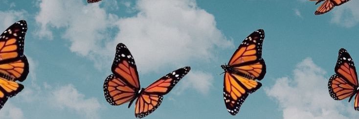 _maryjcs_'s profile banner image